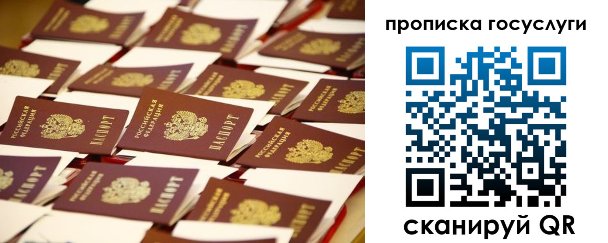 прописка гарантия в Рубцовске